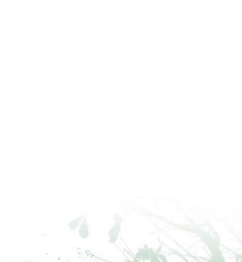 Became a Medieval Fantasy Wizard Chapitre 15 - Page 33