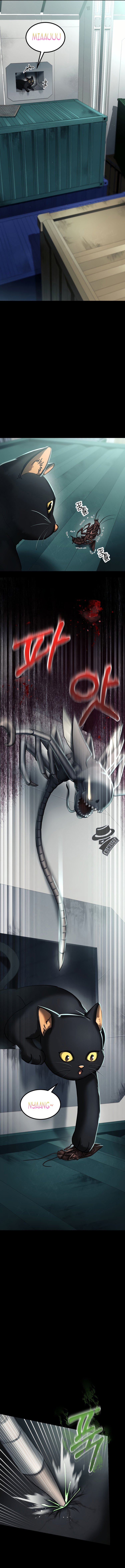 I Became an Evolving Space Monster Chapitre 3 - Page 17