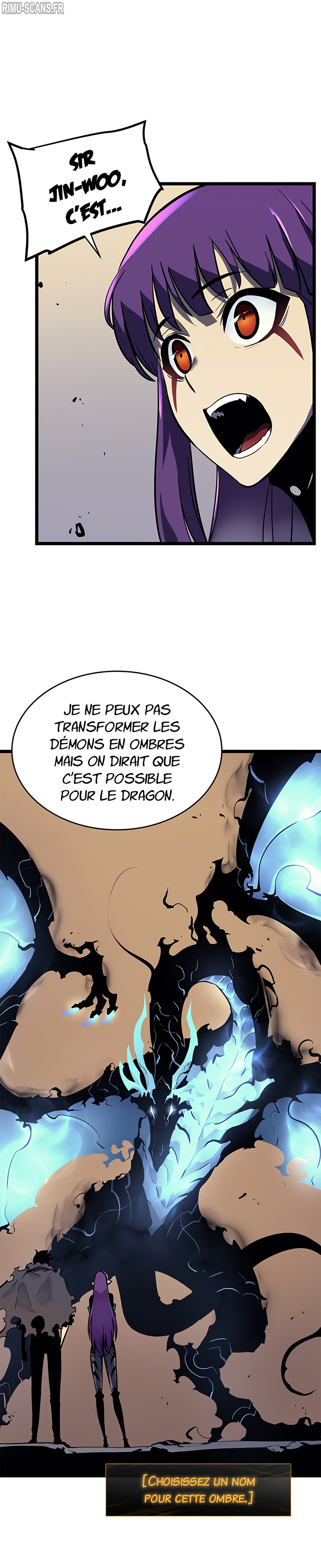 Solo Leveling Chapitre 88 - Page 10