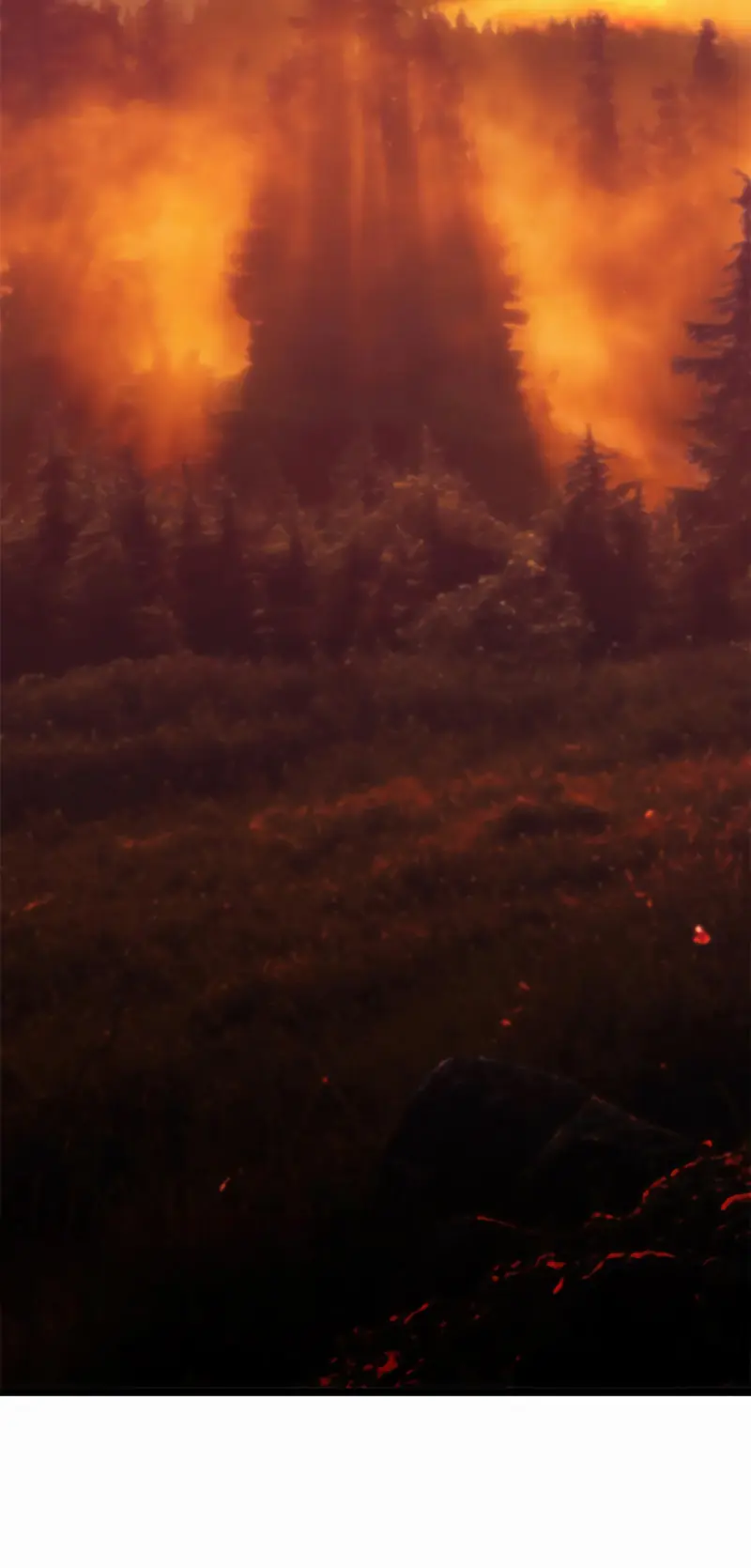 Top Tier Providence Chapitre 258 - Page 11